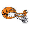 Basketball biting net